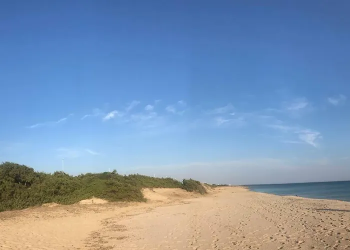 לינה וארוחת בוקר Almare סן פייטרו אין בוואניה